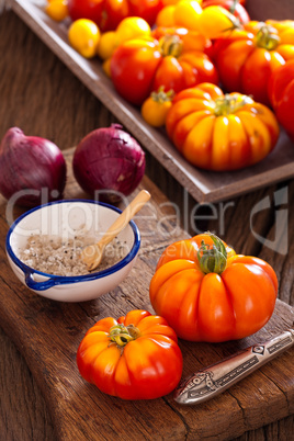 Erntefrische Tomaten mit Zwiebeln und Salz