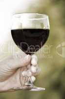 Woman's hand holding glass of red wine in vineyard