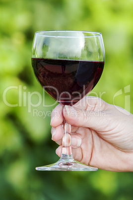 Woman's hand holding glass of red wine in vineyard