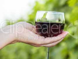 Woman's hand holding glass of red wine in vineyard