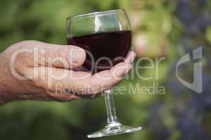 Men's hand holding glass of red wine in vineyard