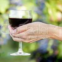 Woman's hand holding glass of red wine in vineyard