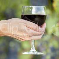Woman's hand holding glass of red wine in vineyard