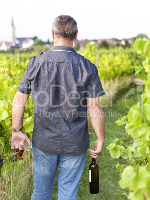 Man with wine bottle and glasses in vineyard