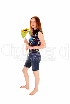 Standing girl with sunflower.