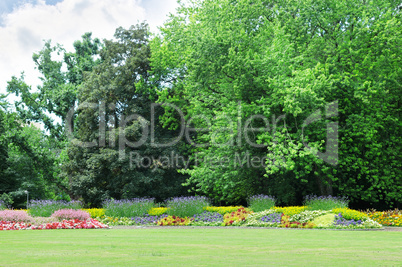 Blossoming flowerbeds in the park