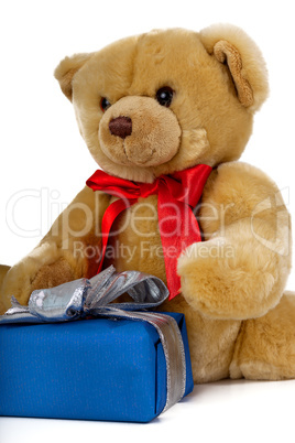 Toy bear with gift