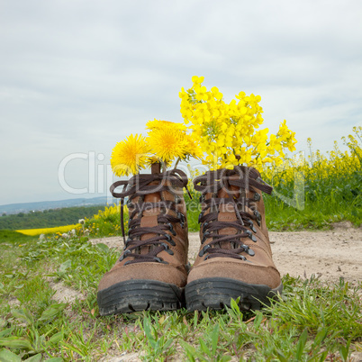 Hiking boots with flowers in nature