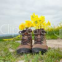 Hiking boots with flowers in nature