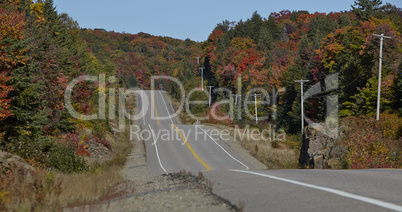 Highway with colorful maple leaves