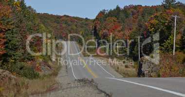 Highway with colorful maple leaves