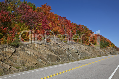 Highway with colorful maple leaves