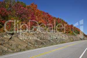 Highway with colorful maple leaves