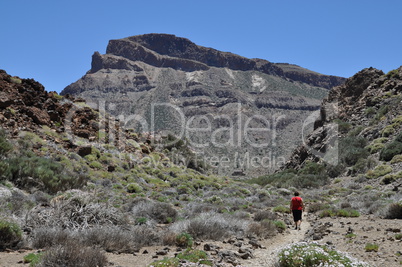 Wandern auf Teneriffa