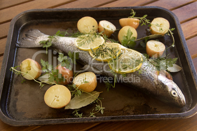 Raw Vegetables And Trout