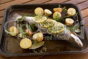 Raw Vegetables And Trout