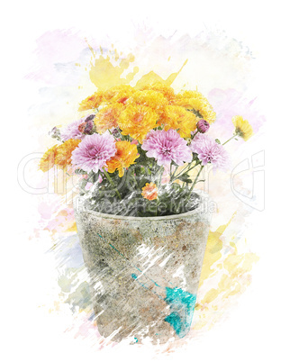 Watercolor Image Of  Autumn Chrysanthemums