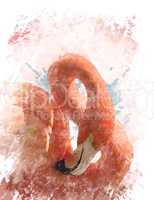 Watercolor Image Of  Flamingo Bird