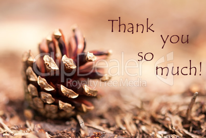 Fir Cone with Thank You so Much