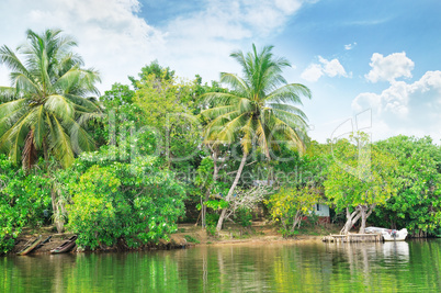 Tropical river with palm trees on  shores