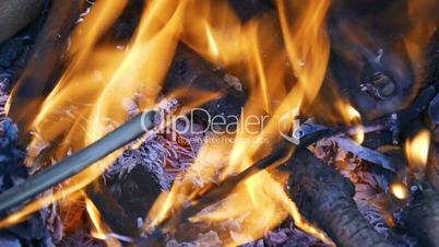 Firewood Burning in the Fireplace, closeup