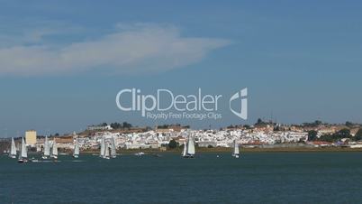 Many Sailing Yachts Moving in the Bay, Portugal