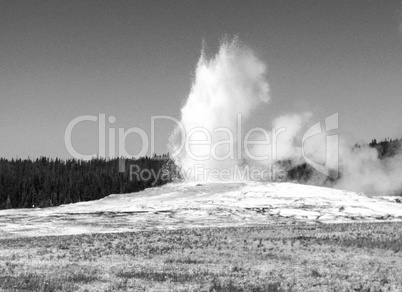 Eruption of Old Faithful Geyser at Yellowstone National Park