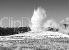 Eruption of Old Faithful Geyser at Yellowstone National Park