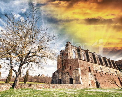 San Galgano Abbey Cistercian, Siena - Italy