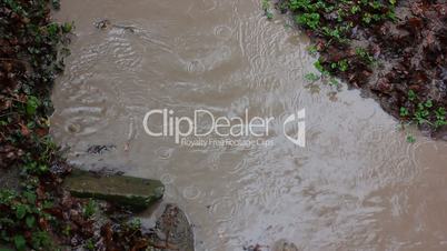 flowing river under the rain