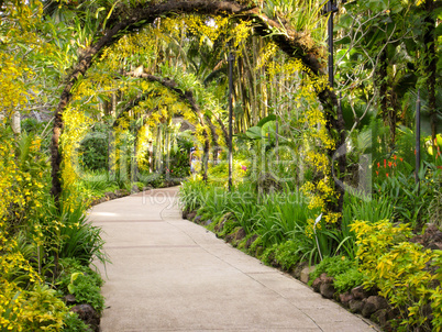 Weg durch einen Park in Singapur