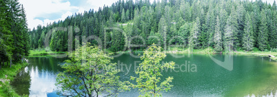 Alpin panoramic landscape. Lake with trees in summer season
