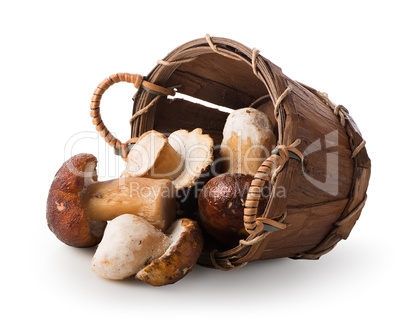 Mushrooms in a basket