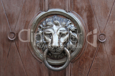 door-handle in shape of lion