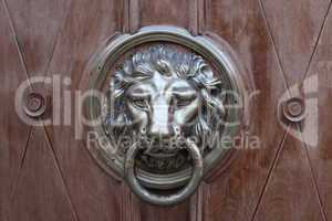 door-handle in shape of lion