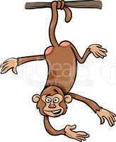 monkey on branch cartoon illustration