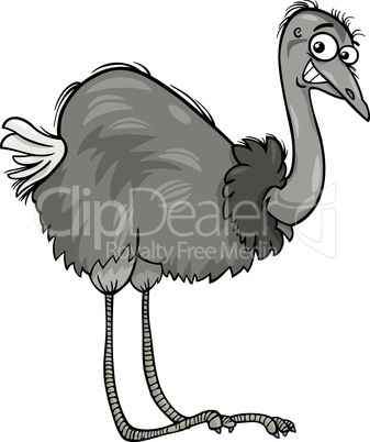 nandu ostrich bird cartoon illustration
