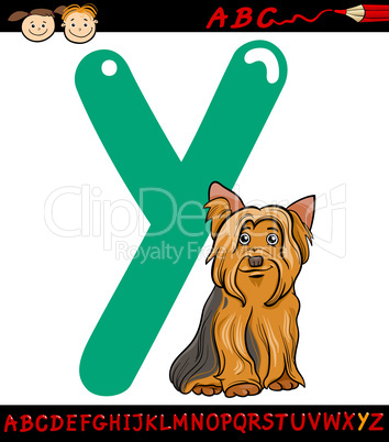 letter y for yorkshire terrier dog