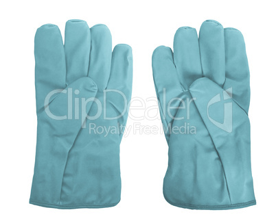 Gloves picture