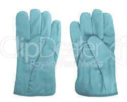 Gloves picture