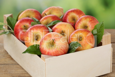 Äpfel in Kiste im Herbst