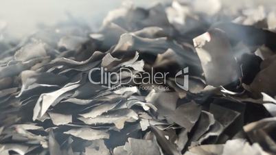 Burnt Pieces of Paper