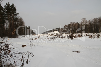 Clearing in the Khimki forest, winter