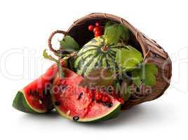 Watermelon and guelder