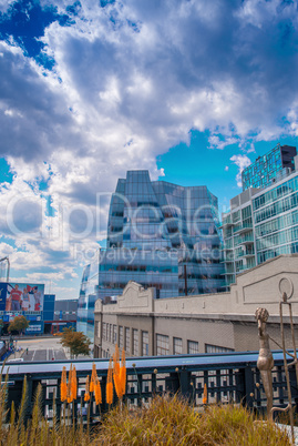 Buildings of Manhattan along High Line Park