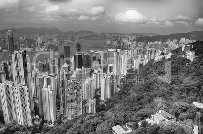 Forest and skyscrapers of Hong Kong