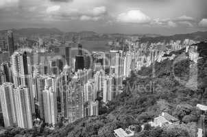 Forest and skyscrapers of Hong Kong