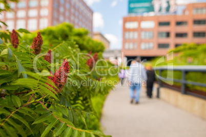 New York City. The High Line Park on a wonderful sunny day