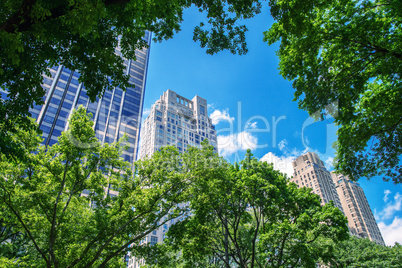 Skyline of New York from Central Park road