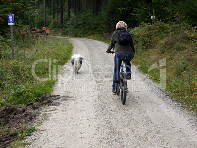 Rad fahren Hund Frau